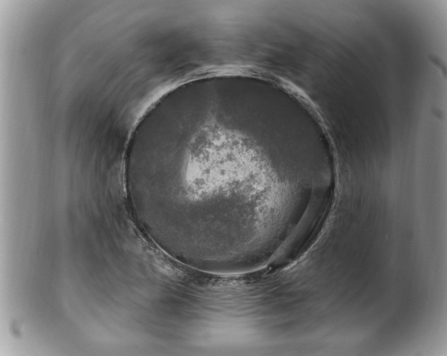 X0000100971174200807011414