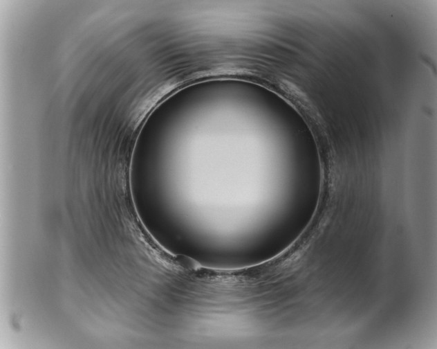 X0000100971177200807011414