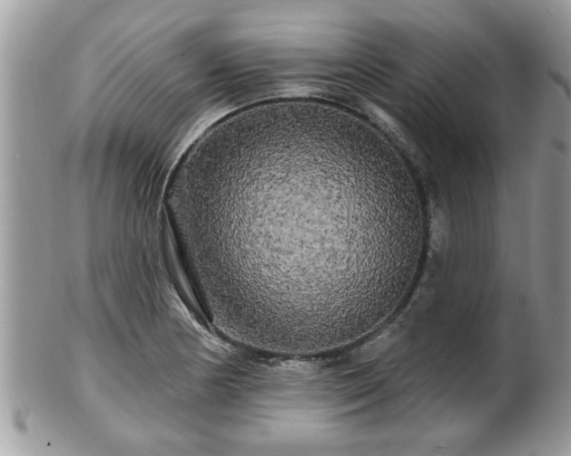 X0000100971178200807011414