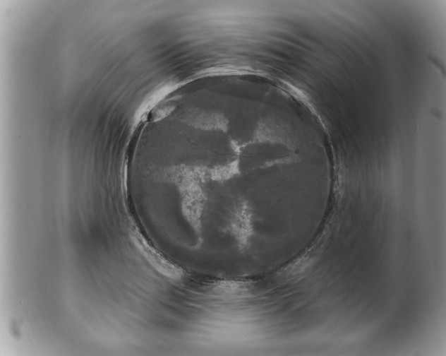 X0000100971179200807011414