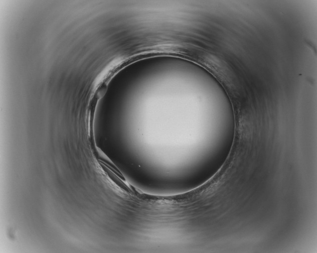 X0000100971180200807011414