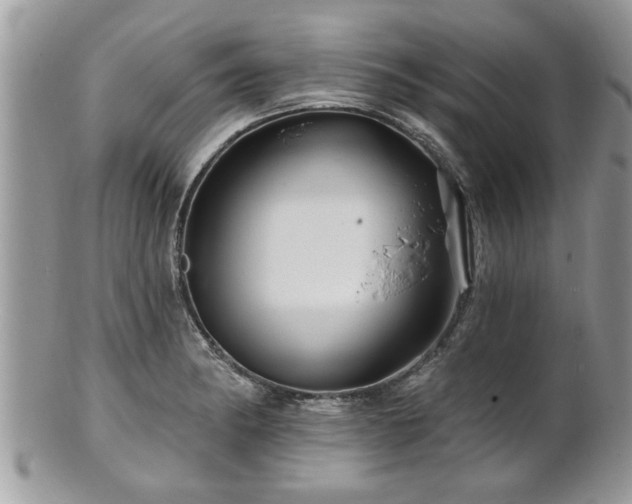 X0000100971182200807011414