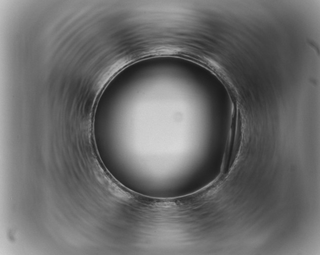 X0000100971186200807011414