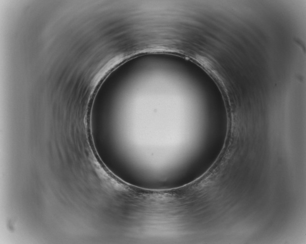 X0000100971189200807011414