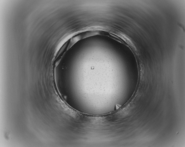 X0000100971192200807011414