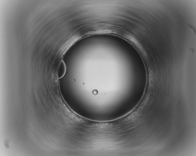 X0000100971193200807011414