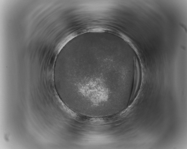 X0000100971194200807011413