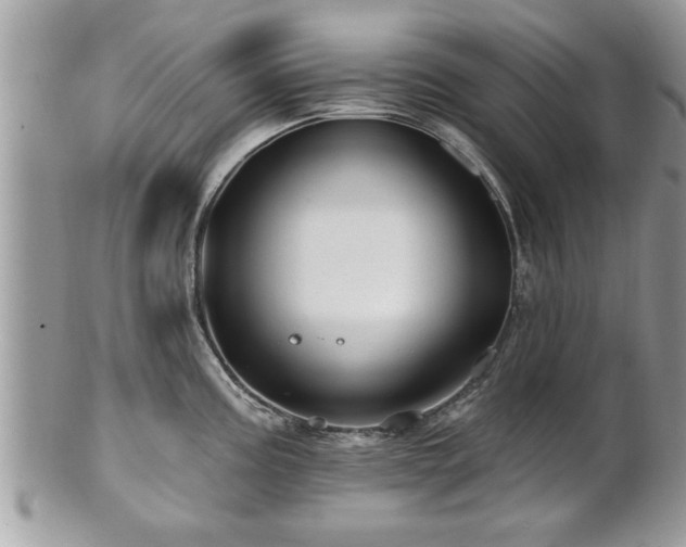 X0000100971195200807011413