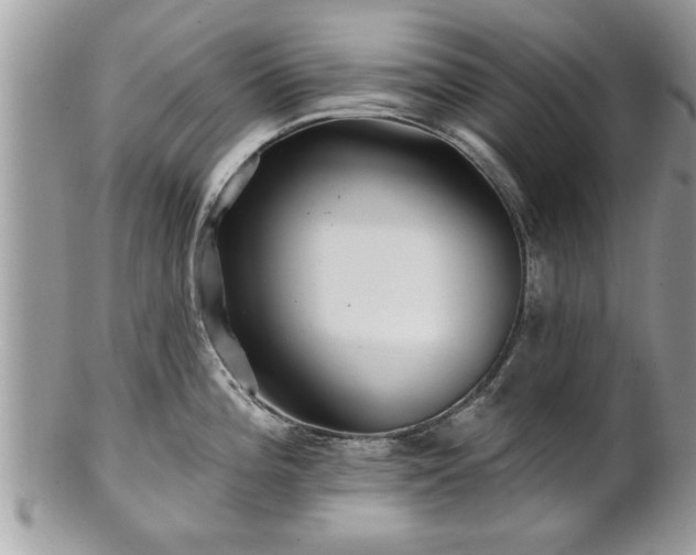 X0000100971196200807011413