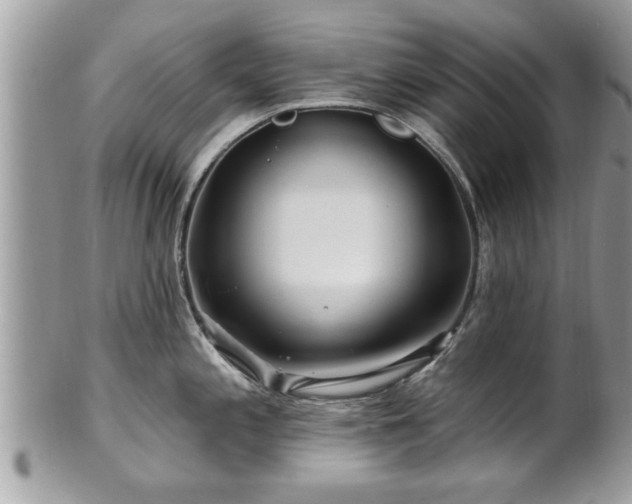X0000100971197200807011413