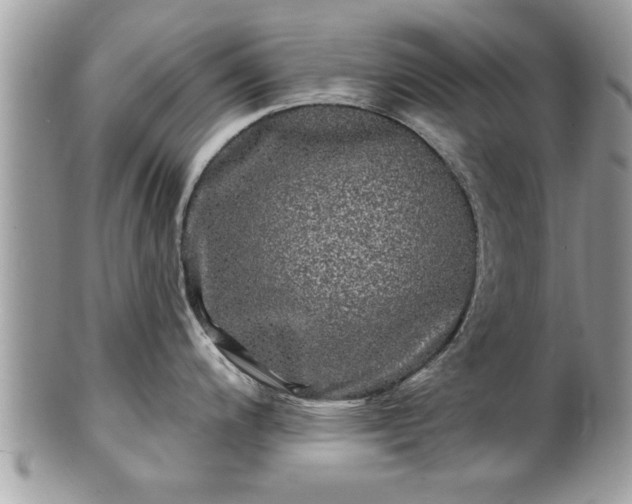 X0000100971200200807011413