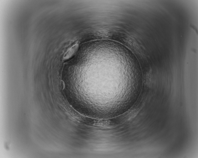 X0000100971201200807011413