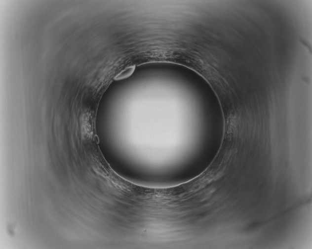X0000100971202200807011413
