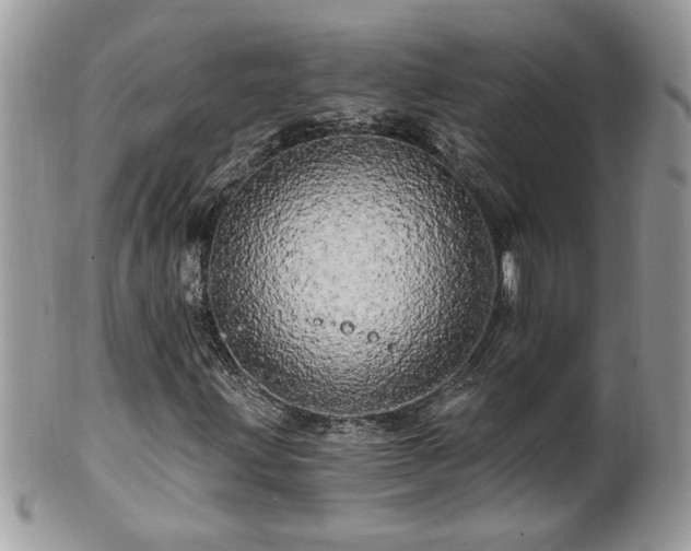 X0000100971203200807011413