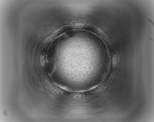 X0000100971204200807011413