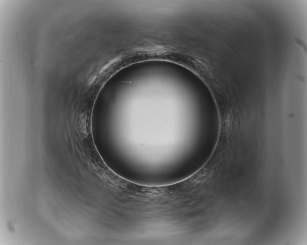 X0000100971205200807011413