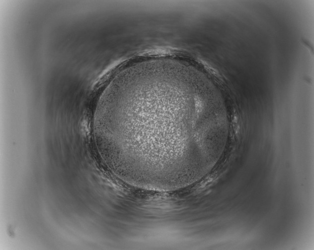 X0000100971206200807011413