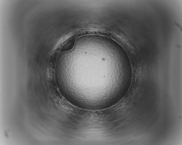 X0000100971207200807011413