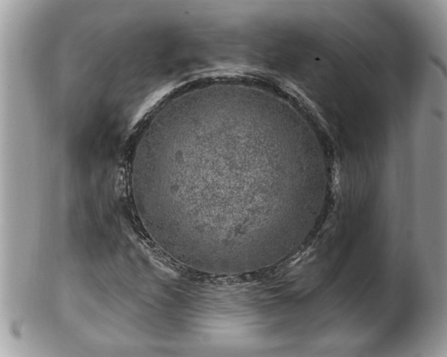X0000100971208200807011413