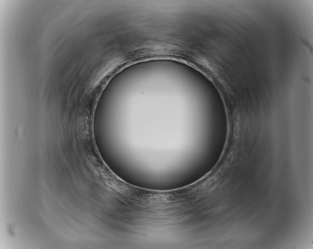 X0000100971211200807011413