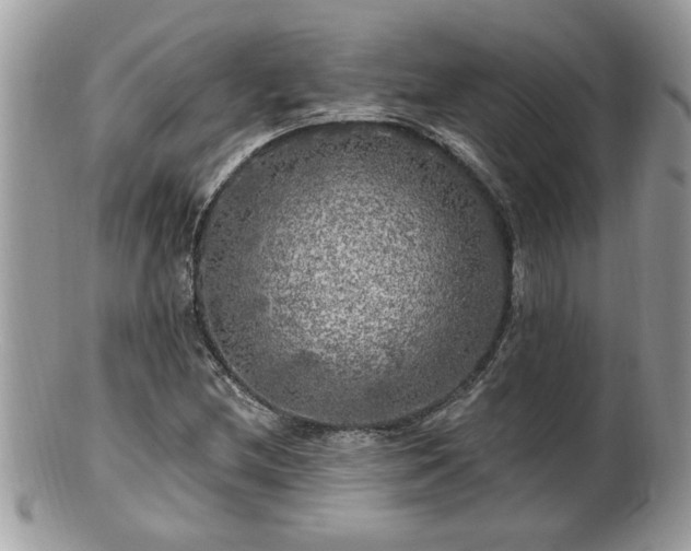 X0000100971212200807011413