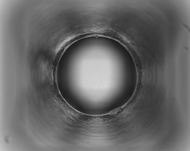 X0000100971214200807011413