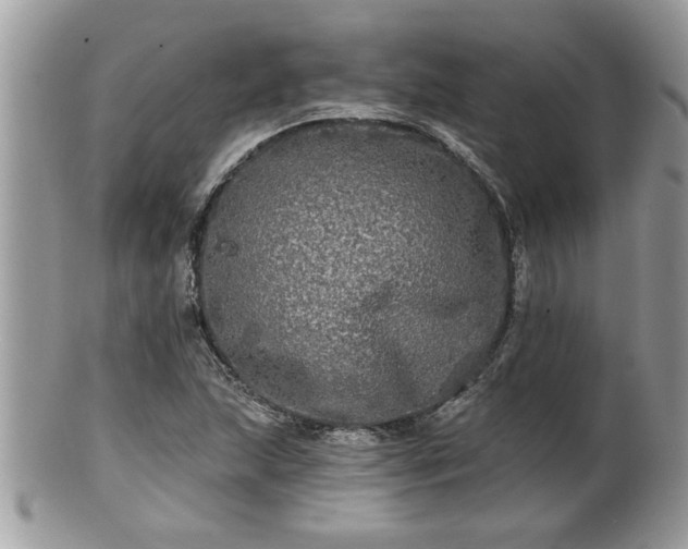 X0000100971215200807011413