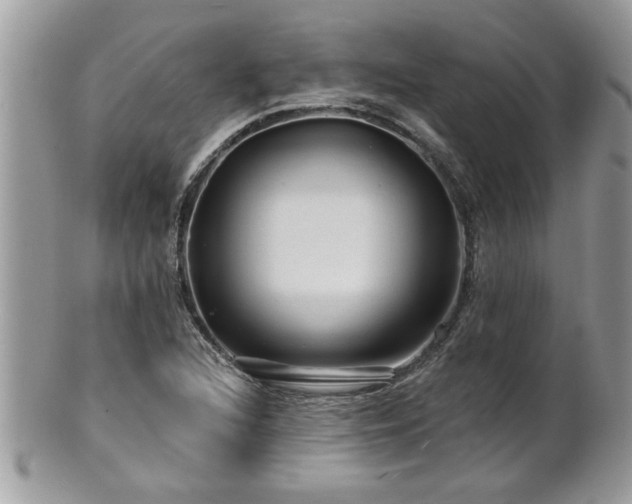X0000100971216200807011413