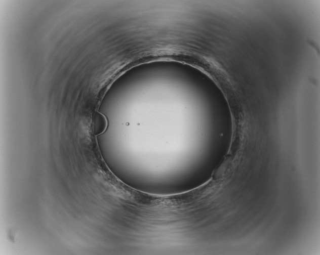 X0000100971217200807011413