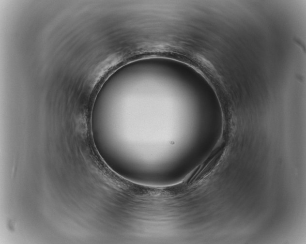 X0000100971218200807011413