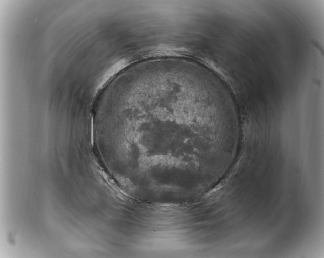 X0000100971219200807011413
