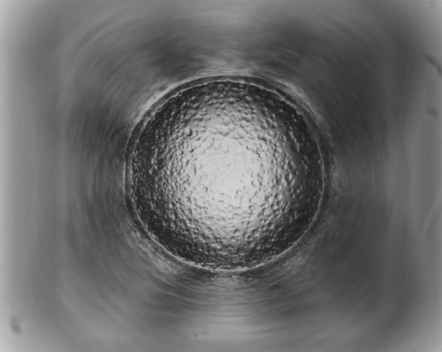 X0000100971220200807011413