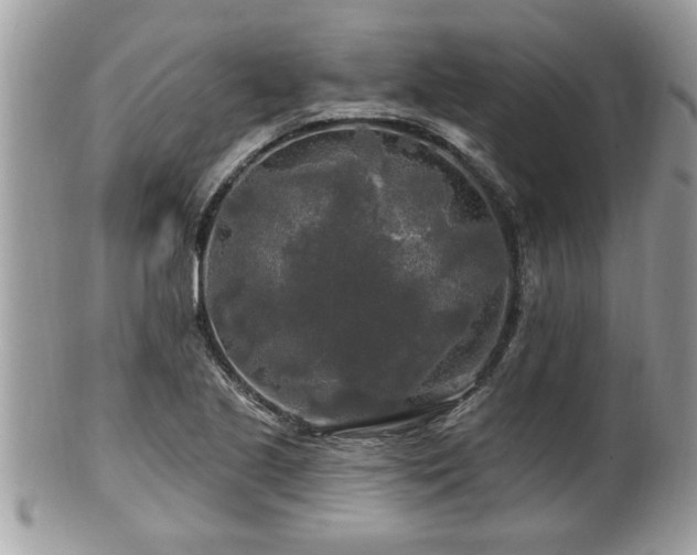 X0000100971221200807011413