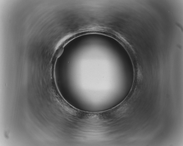X0000100971222200807011413
