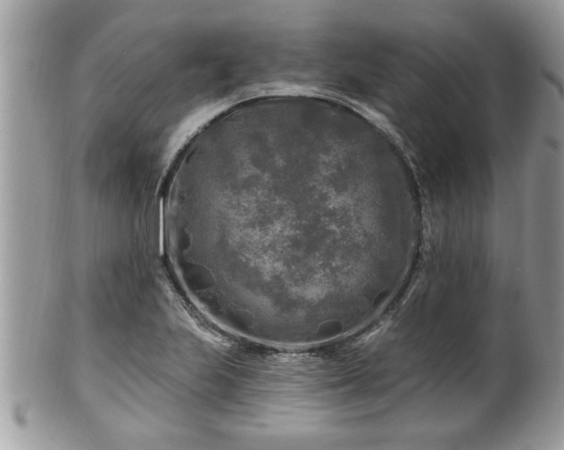 X0000100971223200807011413