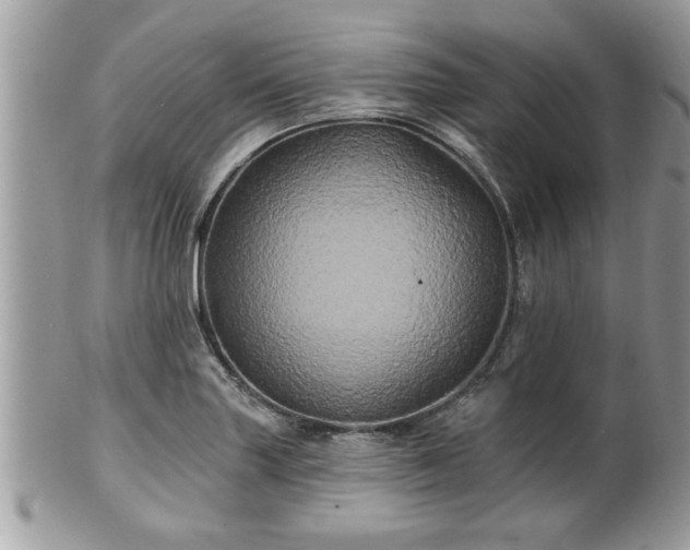 X0000100971227200807011413