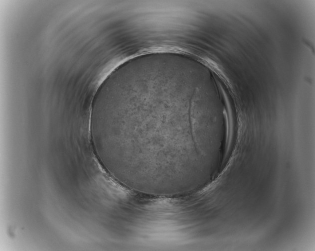 X0000100971228200807011413
