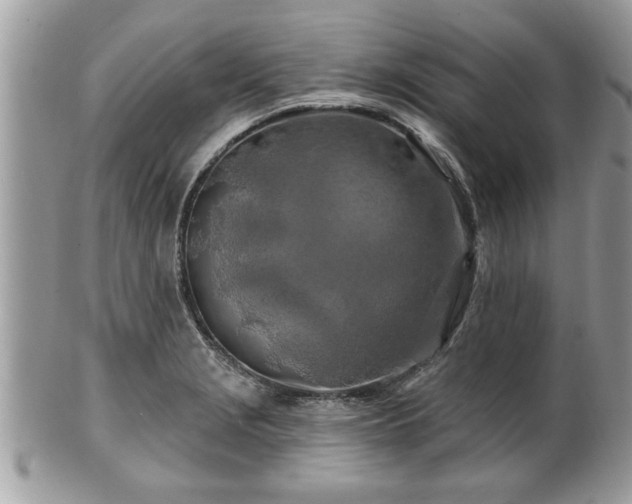 X0000100971229200807011413