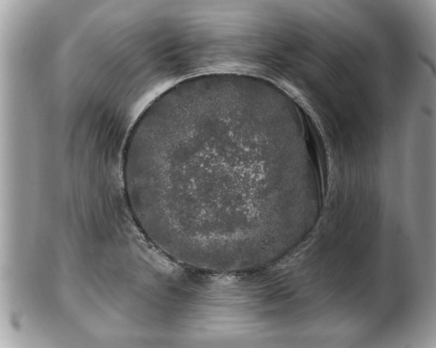 X0000100971230200807011413