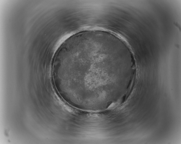 X0000100971231200807011413