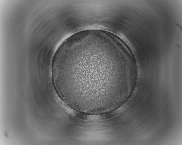 X0000100971232200807011413