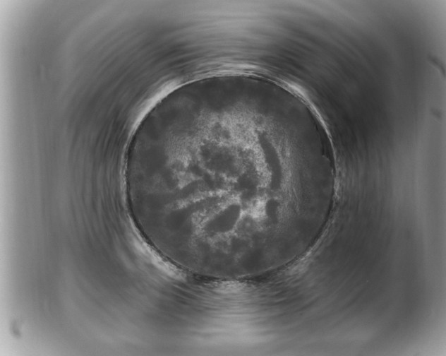 X0000100971235200807011413