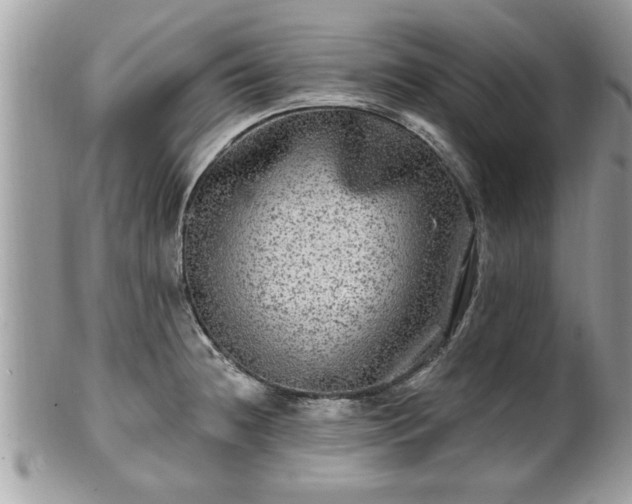 X0000100971236200807011413