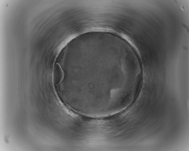 X0000100971237200807011413