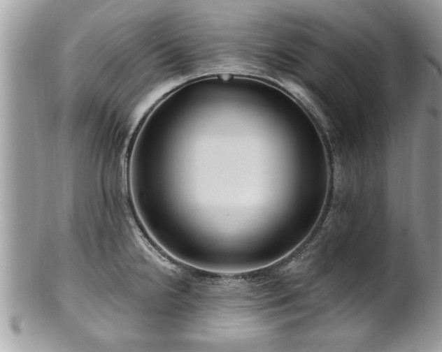 X0000100971238200807011413