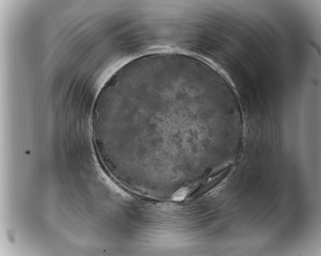 X0000100971239200807011413