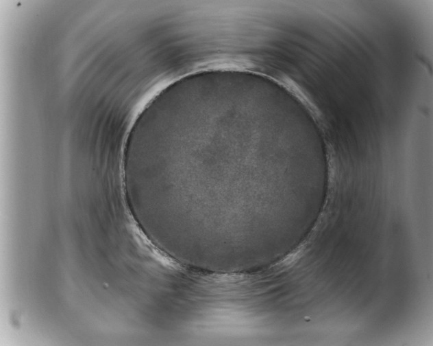 X0000100971240200807011413
