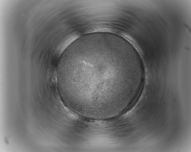 X0000100971241200807011413