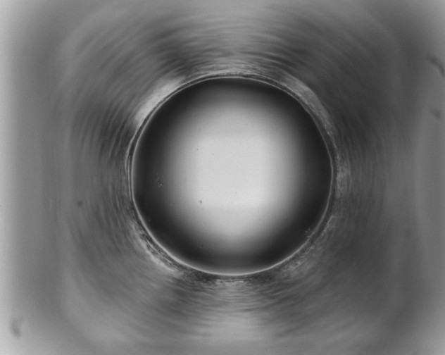 X0000100971242200807011413