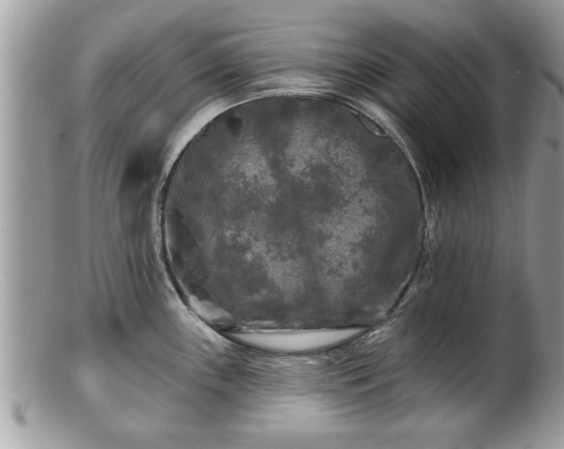 X0000100971243200807011413